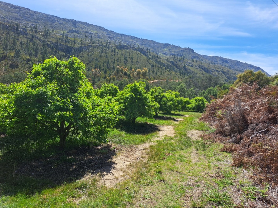 7 Bedroom Property for Sale in Riversdale Rural Western Cape